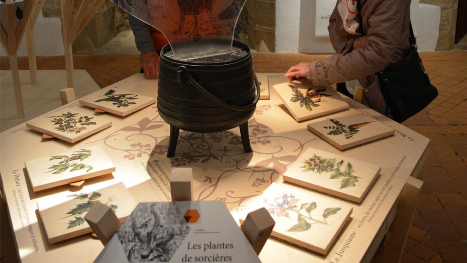 Scénographie - exposition des hommes et des plantes qui soignent - Château de la Roche Jagu