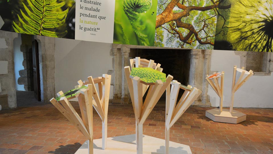 Scénographie - exposition des hommes et des plantes qui soignent - Château de la Roche Jagu